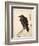 Crow Resting on Wood Trunk-Kyosai Kawanabe-Framed Giclee Print