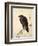 Crow Resting on Wood Trunk-Kyosai Kawanabe-Framed Giclee Print