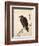 Crow Resting on Wood Trunk-Kyosai Kawanabe-Framed Giclee Print