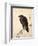 Crow Resting on Wood Trunk-Kyosai Kawanabe-Framed Giclee Print