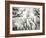 Crow Rookery-Jamie Cook-Framed Giclee Print