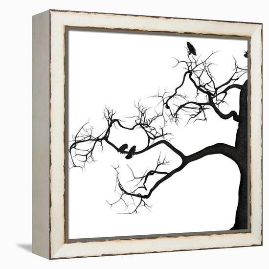 Crow Tree-artshock-Framed Stretched Canvas