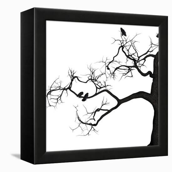 Crow Tree-artshock-Framed Stretched Canvas