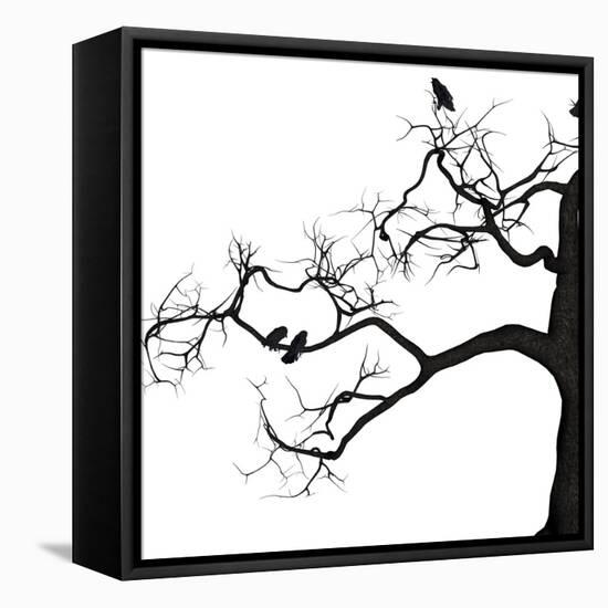 Crow Tree-artshock-Framed Stretched Canvas