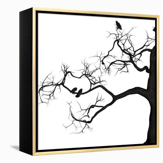 Crow Tree-artshock-Framed Stretched Canvas