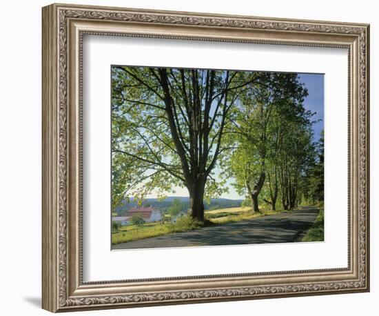 Crow Valley, Orcas Island, Washington, USA-Charles Gurche-Framed Photographic Print