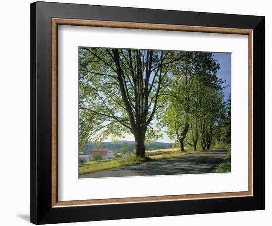 Crow Valley, Orcas Island, Washington, USA-Charles Gurche-Framed Photographic Print