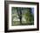 Crow Valley, Orcas Island, Washington, USA-Charles Gurche-Framed Photographic Print