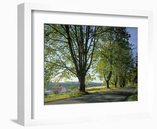 Crow Valley, Orcas Island, Washington, USA-Charles Gurche-Framed Photographic Print