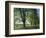 Crow Valley, Orcas Island, Washington, USA-Charles Gurche-Framed Photographic Print