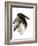 Crow-Suren Nersisyan-Framed Art Print