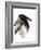 Crow-Suren Nersisyan-Framed Art Print