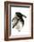 Crow-Suren Nersisyan-Framed Art Print