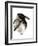 Crow-Suren Nersisyan-Framed Art Print