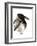 Crow-Suren Nersisyan-Framed Art Print