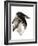 Crow-Suren Nersisyan-Framed Art Print