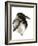 Crow-Suren Nersisyan-Framed Art Print