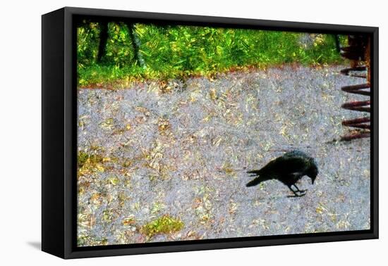 Crow-Andr? Burian-Framed Premier Image Canvas