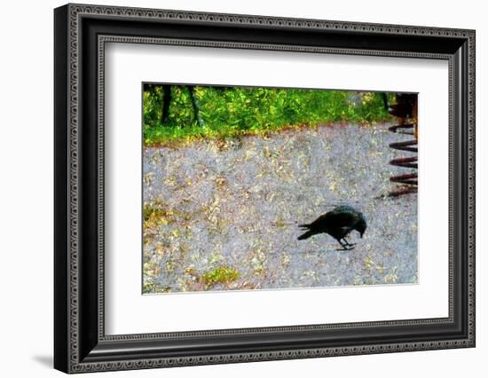 Crow-Andr? Burian-Framed Photographic Print