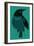 Crow-null-Framed Giclee Print