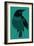 Crow-null-Framed Giclee Print