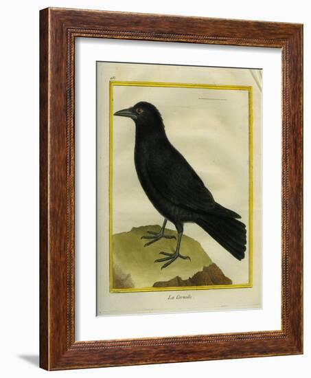 Crow-Georges-Louis Buffon-Framed Giclee Print