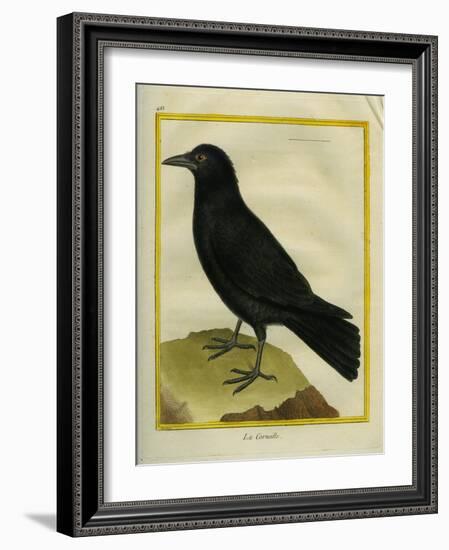 Crow-Georges-Louis Buffon-Framed Giclee Print