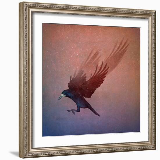 crow-Johan Lilja-Framed Giclee Print