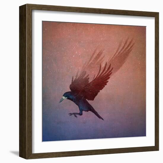 crow-Johan Lilja-Framed Giclee Print