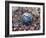 Crowd Fills a Manhattan Avenue During a Protest March in New York-null-Framed Photographic Print