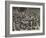 Crowd in Martin Place-null-Framed Giclee Print