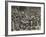 Crowd in Martin Place-null-Framed Giclee Print