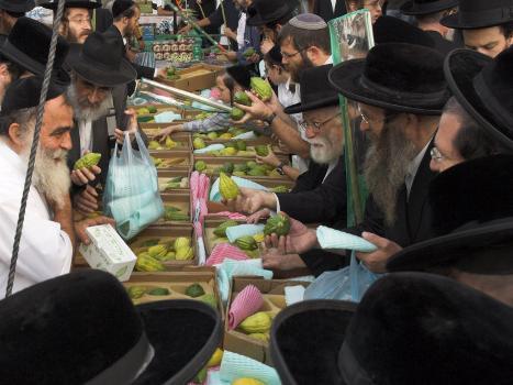 Crowd of Orthodox Jews Buying the Etrog for the Lulav, Four Types Market, During Sukot, Israel' Photographic Print - Eitan Simanor | Art.com