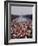 Crowd of over 200,000 Gathered Where Martin Luther King Delivered "I Have a Dream" Speech-Paul Schutzer-Framed Photographic Print