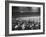 Crowd of People Holding Up Signs and Watching Dodger Cubs Game from Stands at Wrigley Field-John Dominis-Framed Photographic Print