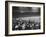 Crowd of People Holding Up Signs and Watching Dodger Cubs Game from Stands at Wrigley Field-John Dominis-Framed Photographic Print