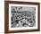 Crowded Beach-null-Framed Photographic Print