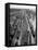 Crowded Yard Filled with Freight Cars-Peter Stackpole-Framed Premier Image Canvas