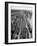 Crowded Yard Filled with Freight Cars-Peter Stackpole-Framed Photographic Print