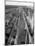 Crowded Yard Filled with Freight Cars-Peter Stackpole-Mounted Photographic Print