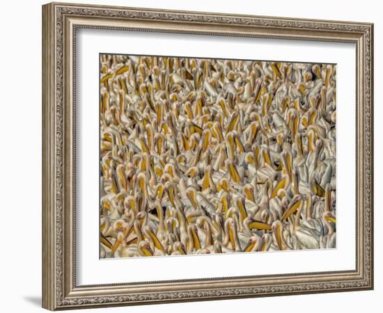 Crowded-Keren Or-Framed Photographic Print