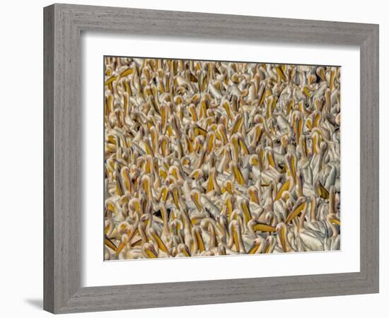 Crowded-Keren Or-Framed Photographic Print