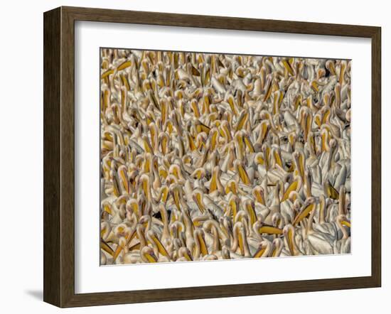 Crowded-Keren Or-Framed Photographic Print