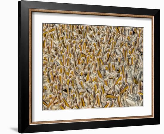 Crowded-Keren Or-Framed Photographic Print