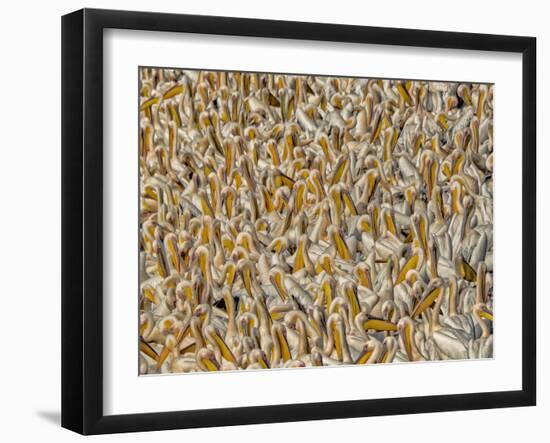 Crowded-Keren Or-Framed Photographic Print