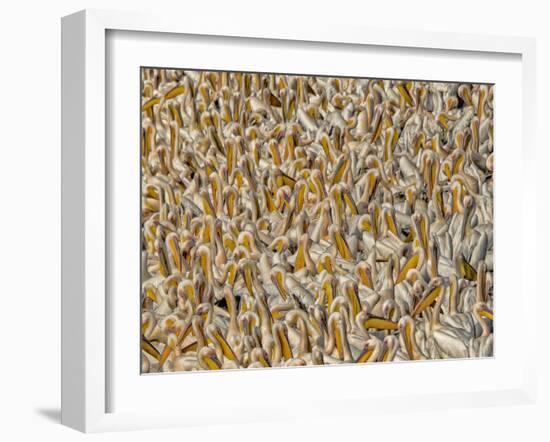 Crowded-Keren Or-Framed Photographic Print