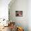 Crowds at a Stadium for a Bullfight, Quito, Ecuador-Paul Harris-Photographic Print displayed on a wall