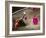 Crowds at a Stadium for a Bullfight, Quito, Ecuador-Paul Harris-Framed Photographic Print