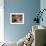 Crowds at a Stadium for a Bullfight, Quito, Ecuador-Paul Harris-Framed Photographic Print displayed on a wall