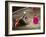 Crowds at a Stadium for a Bullfight, Quito, Ecuador-Paul Harris-Framed Photographic Print